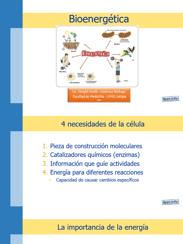 C6-Bioenergética | PDF | Enzima | Termodinámica