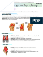 Músculos membros inferiores _ Passei Direto