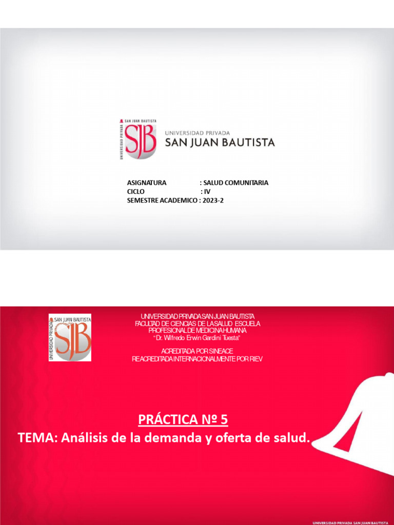 Análisis de Demanda y Oferta en Salud | PDF | Población | Demografía