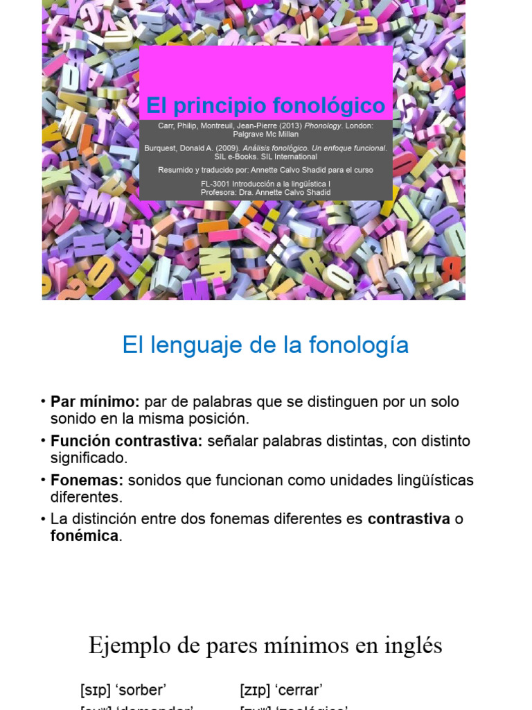 El Principio Fonológico | PDF | Fonología | Fonema