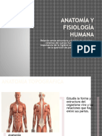 Anatomía y Fisiología Humana