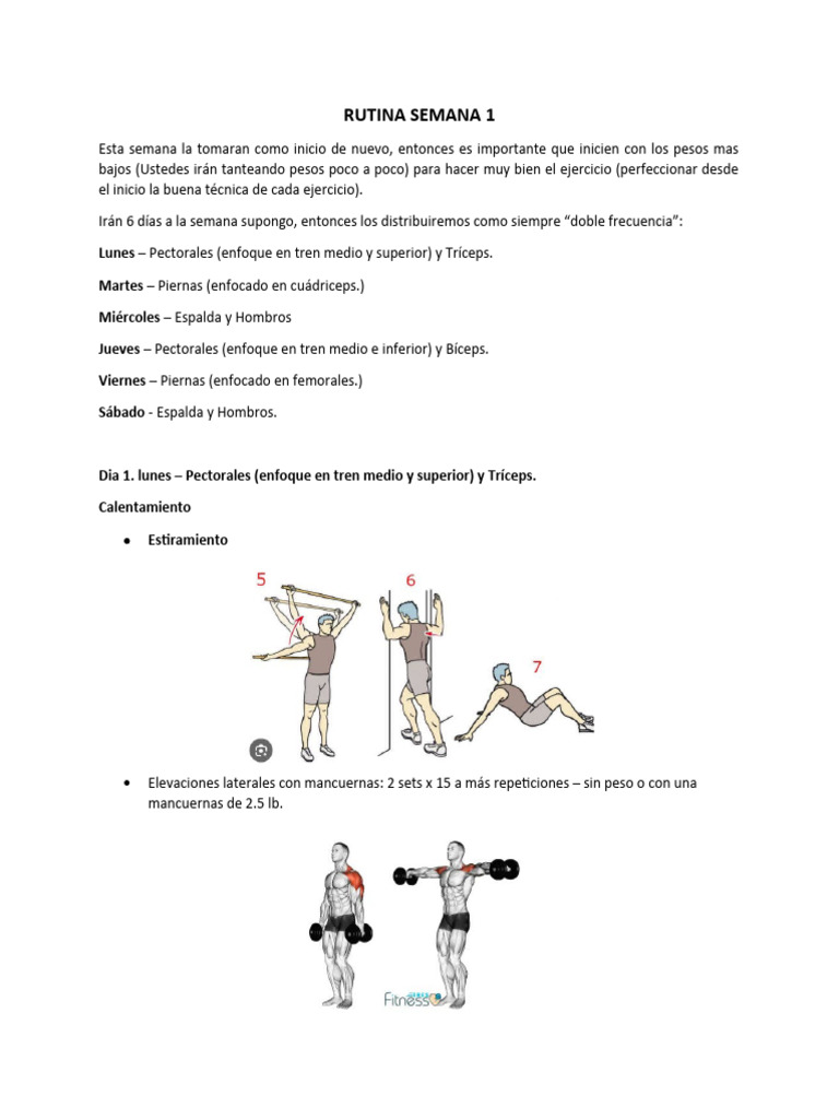 Rutina Semanal de Ejercicios con Mancuernas | PDF | Entrenamiento con ...