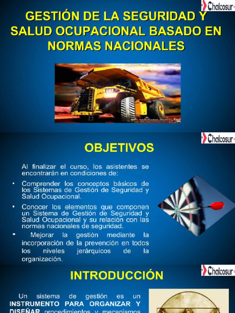 Gestion De La Seguridad Y Salud En El Trabajo Basadp En El Reglamento