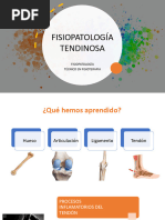 Tendón Normal y Patológico | PDF | Tendón | Anatomía