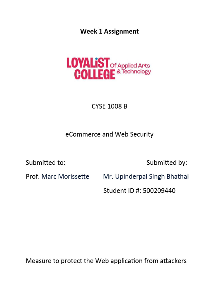 Web Application Security Measures Guide | PDF | Computers