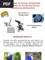 Aula 1 Prática - Uso Do Microscópio