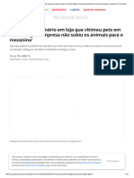 ONG Detalha Cenário em Loja Que Vitimou Pets em Porto Alegre - 'Empresa Não Subiu Os Animais para o Mezanino' - Rio Grande Do Sul - G1