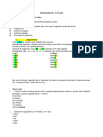 Modul Indicativ Trecut