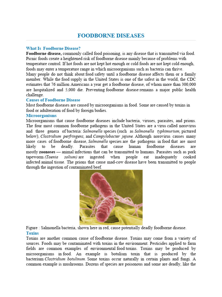 Food Borne Diseases | PDF | Foodborne Illness | Infection