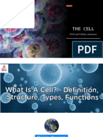 The Cell 2