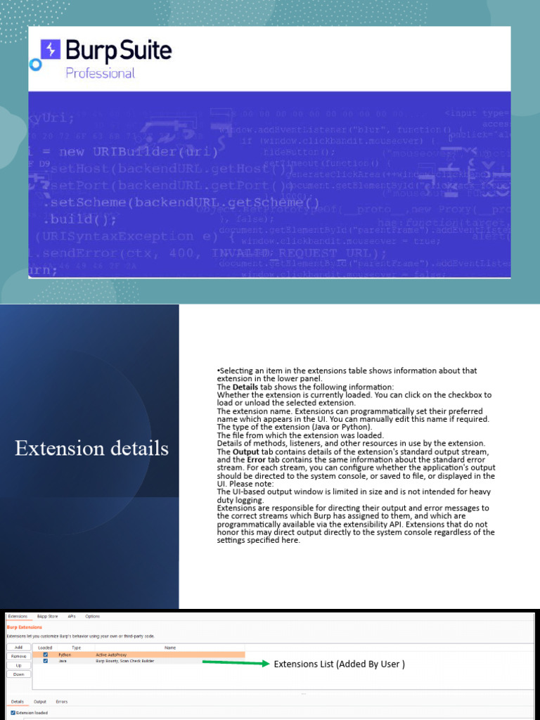 1-1-burp-extender-download-free-pdf-java-virtual-machine-command