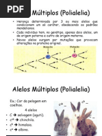 Alelos Múltiplos (polialelia)