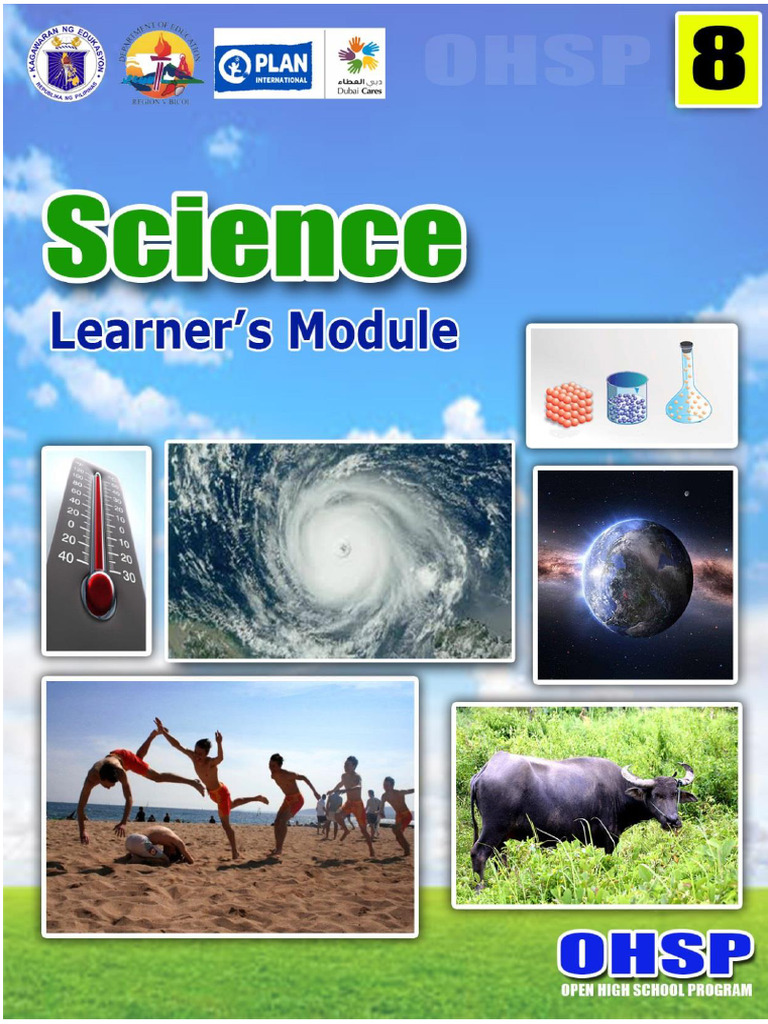Forces and Motion in Everyday Life | PDF | Force | Potential Energy