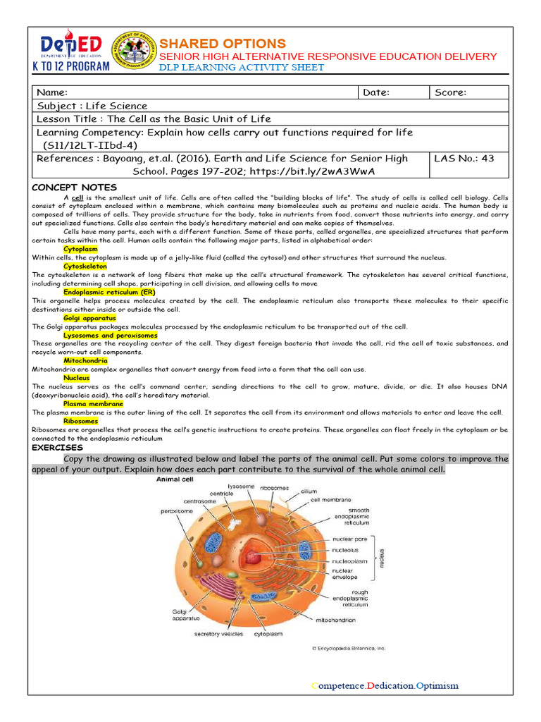 Animal Cell Structure and Functions | PDF | Cell (Biology) | Cytoplasm