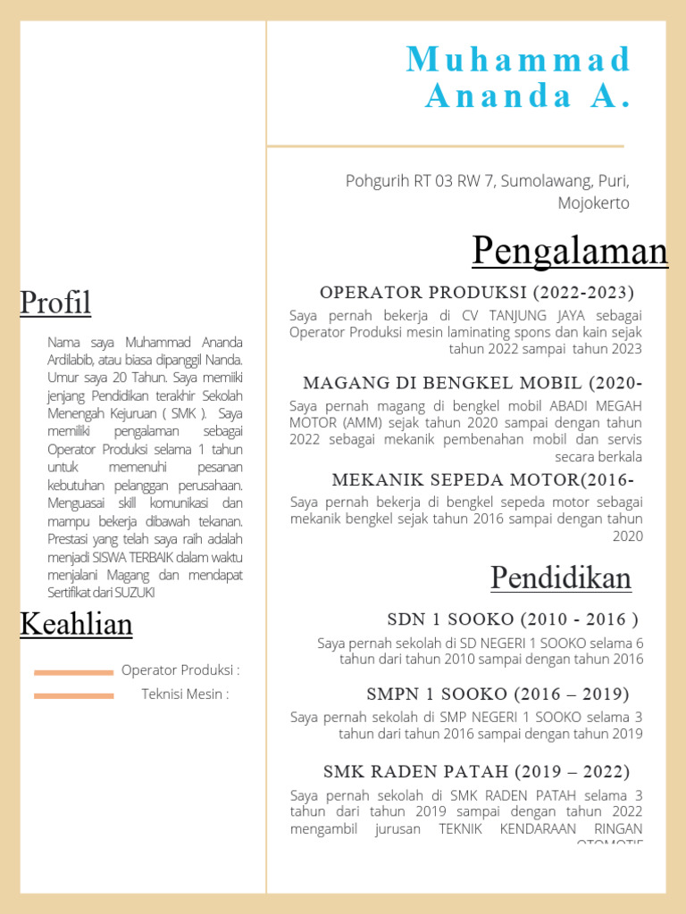CV Muhammad Ananda Ardilabib | PDF