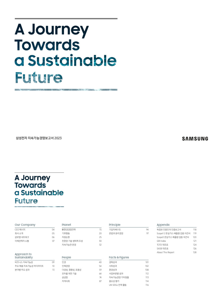 2022 지구촌 한류현황 1 by The Korea Foundation - Issuu, image size:768x1024