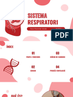 Sistema Respiratori