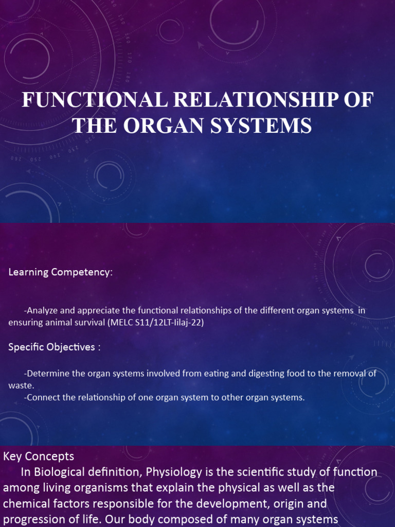 Organ Systems and Their Functions | PDF | Human Body | Pancreas