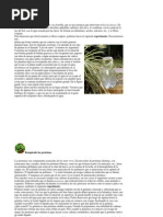 Experimentos Biologia