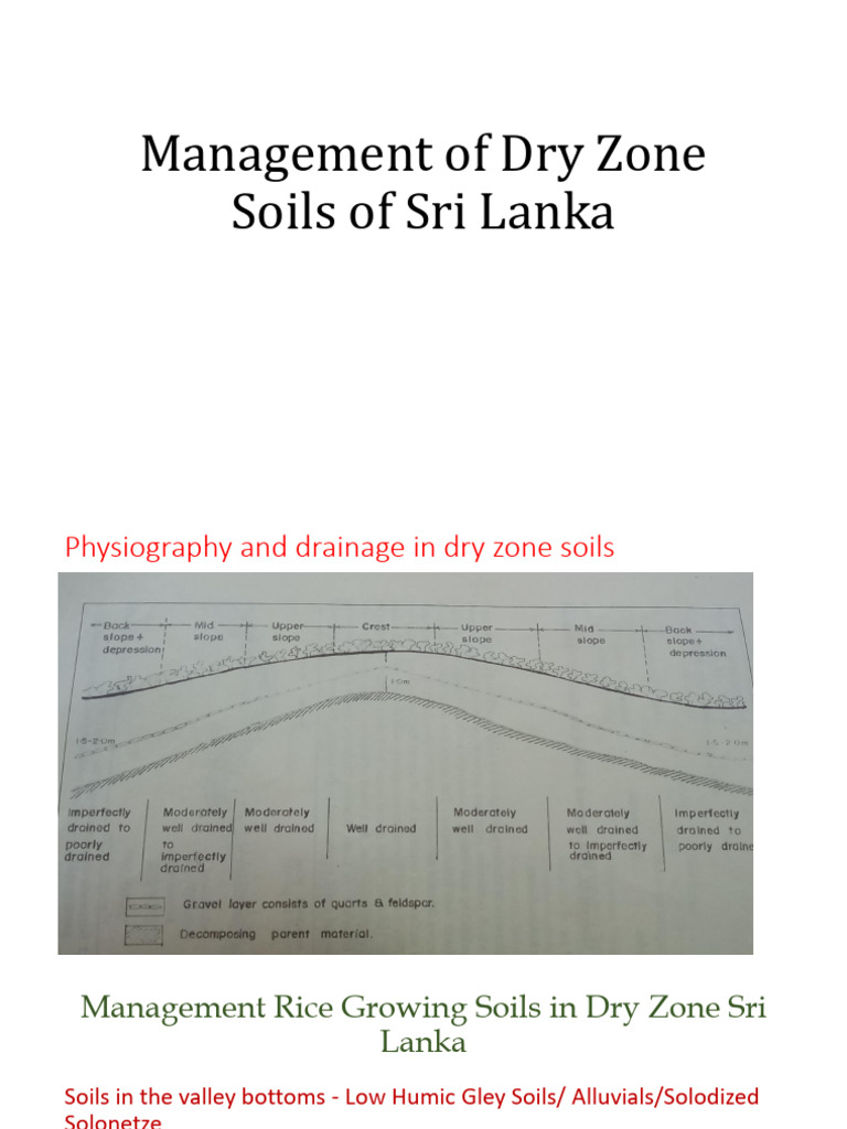 Lecture 06 - Dry Zone Soils in Sri Lanka | Download Free PDF | Soil | Loam