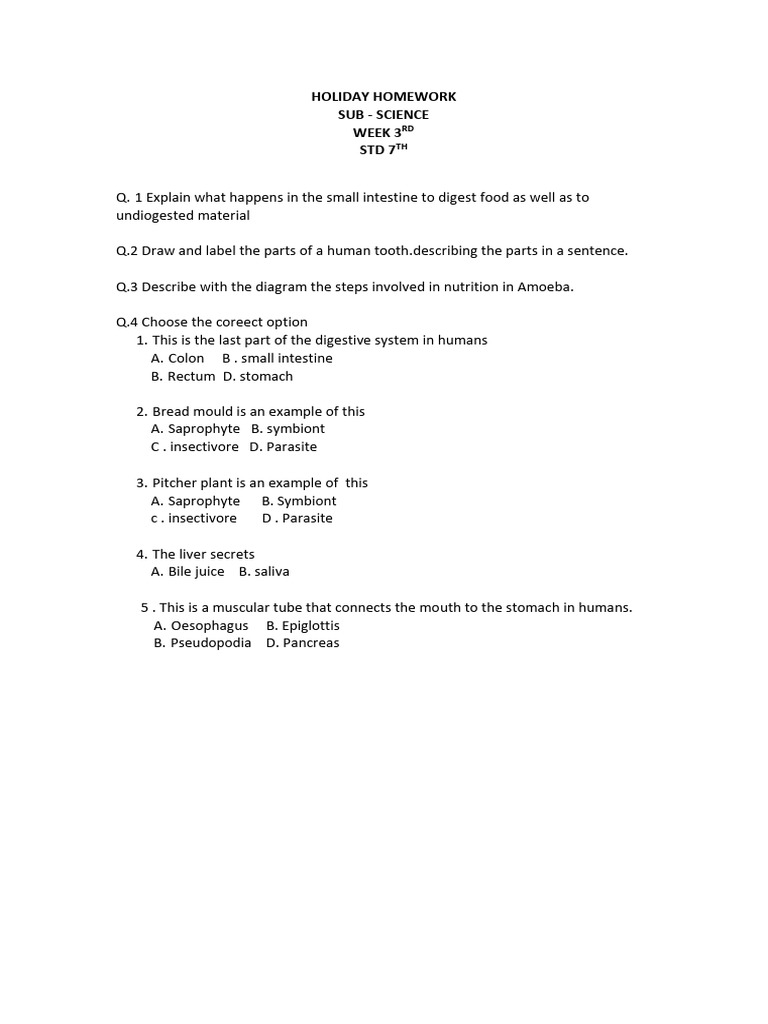 Grade 7 Science Holiday Homework | PDF
