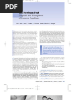 Download Newborn Foot by api-3856051 SN7342829 doc pdf