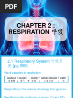 Understanding The Respiratory System Pdf