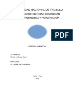 Ensayo Argumentativo - Gestión Ambiental en El Perú