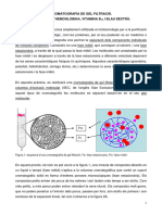 Gel Filtració - ALUMNES