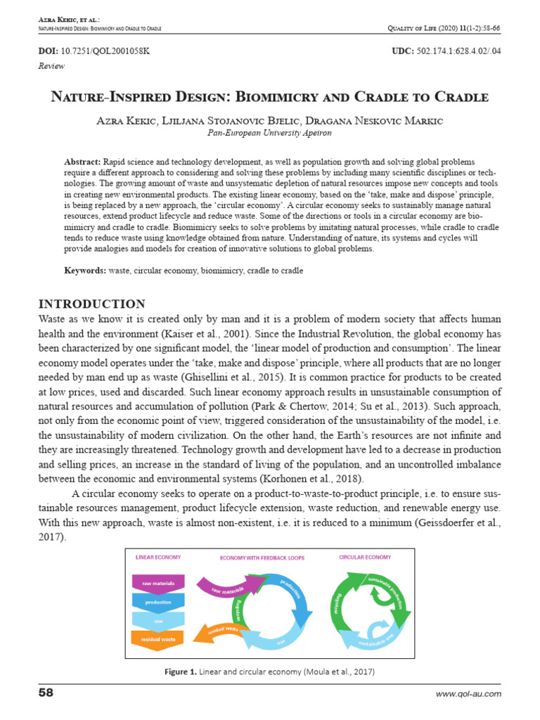 Circular Economy and Biomimicry Insights | PDF | Natural Environment ...