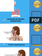 Módulo 5 - Sistema Respiratório