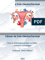 Câncer de Colo de Utero 2024