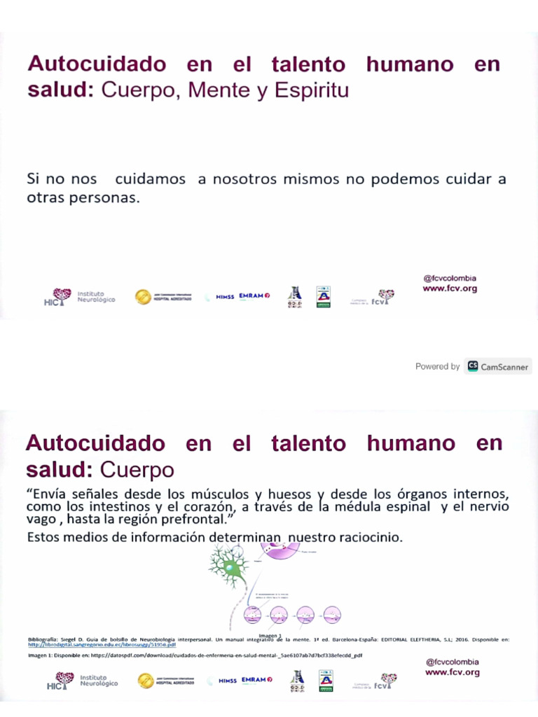 Bases Conducta Adictiva | PDF