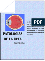Patologías de La Úvea-PANTONE JOANA(Adaptación)