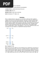 Chukwurah Raluchukwu - Lab Report 1