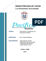 PROYECTO Pacifico Autral Final (1)
