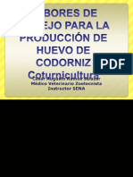 Presentación Unidad 1. Curso LABORES DE MANEJO PARA LA PRODUCCIÓN DE HUEVO