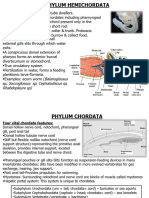 NOTES (2023)_CLASSIFICATION OUTLINE3