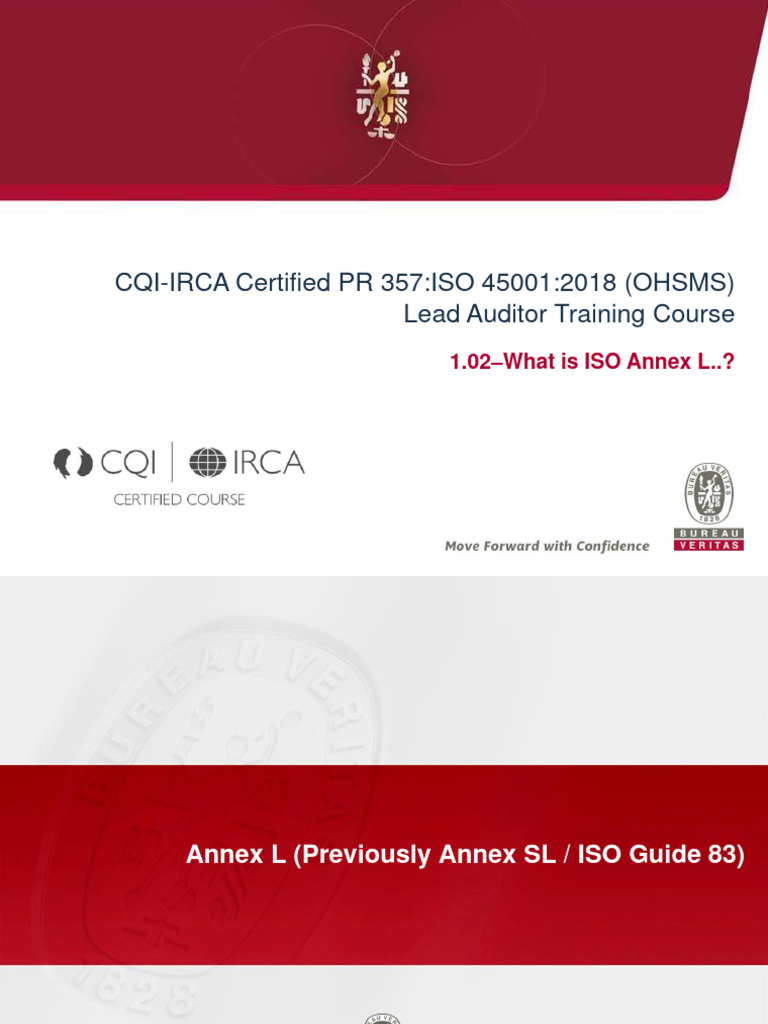 Understanding ISO 45001 Annex L | PDF | Internal Audit | Risk