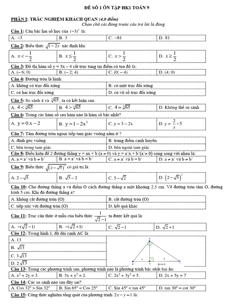 De on tap toan 9 hk i 1 vs 2 pdf
