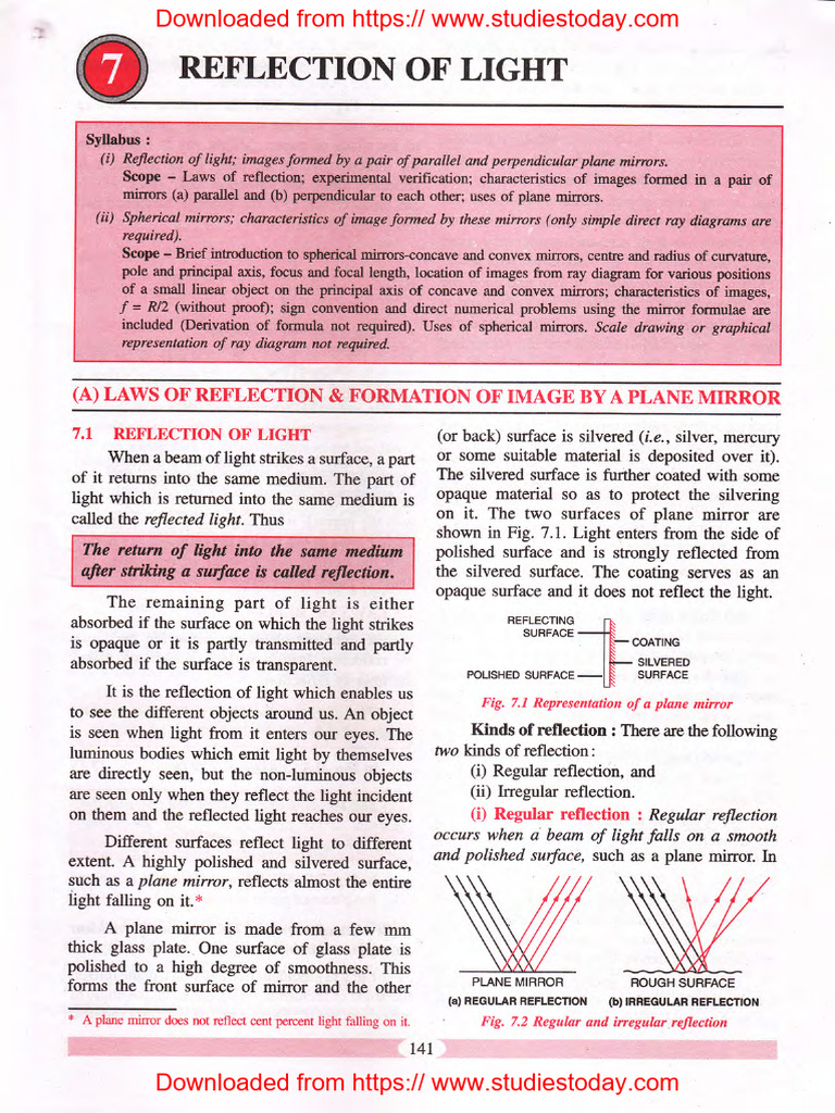 Class 9 ICSE Light Reflection Worksheet | PDF | Career & Growth | Wellness