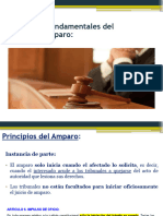 Juicio de Amparo