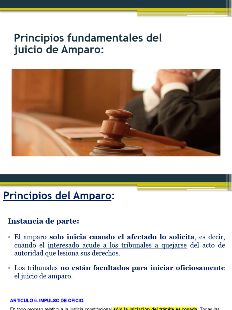 Juicio de Amparo | PDF | Sentencia (ley) | Ley procesal