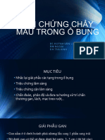 H I CH NG CH y Máu Trong NCS2 Y21