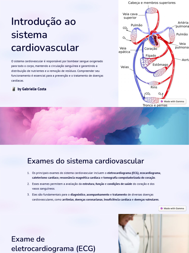 Exames Essenciais do Sistema Cardiovascular | PDF | Coração ...
