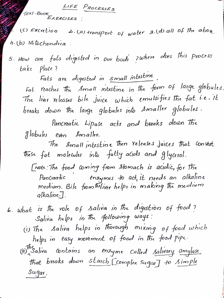 Life Process - Textbook Questions | PDF | Biology | Anatomy