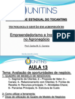 AULA 13 Empreendedorismo e Inovacao No Agronegocio