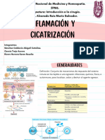 Inflamación y Cicatrización