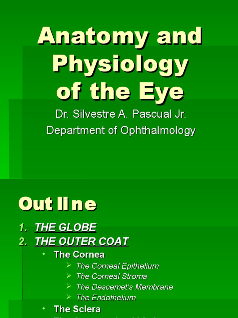 Anatomy and Physiology of the Eye | PDF | Cornea | Retina