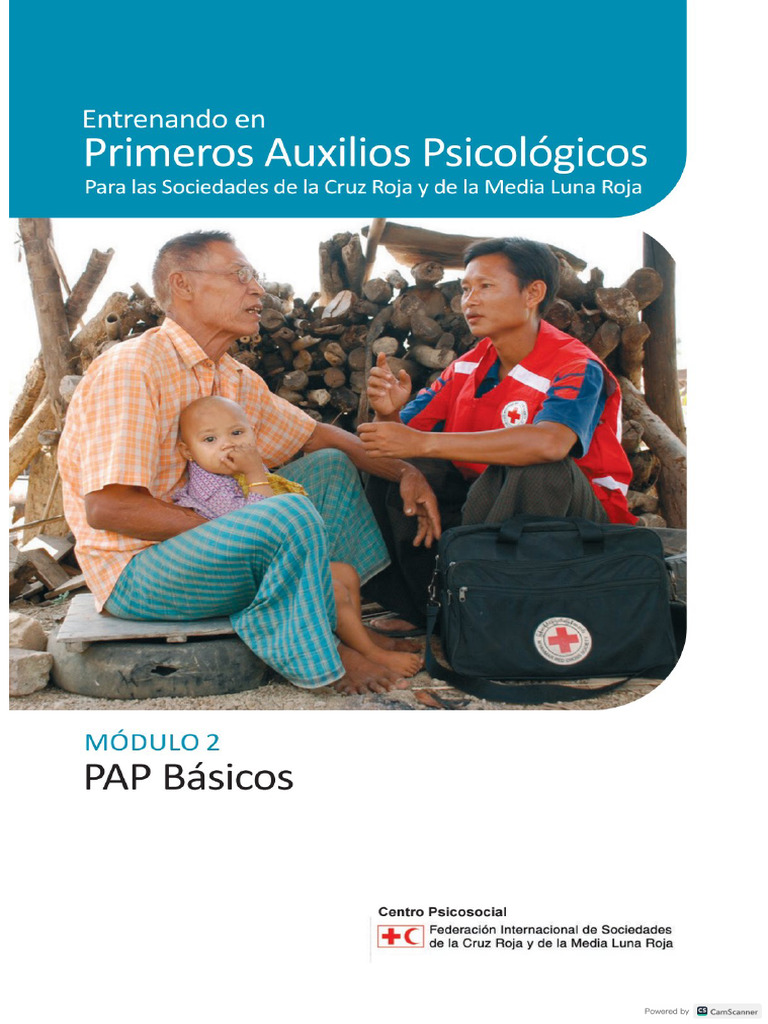 PAP Modulo 2 | PDF